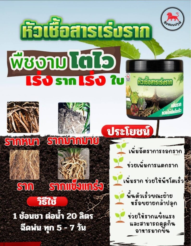 LINE_ALBUM_ปุ๋ย_241115_1